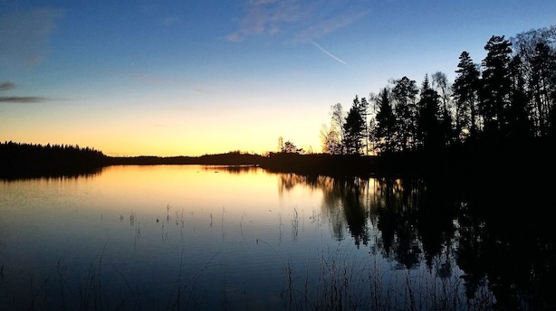 Ny rejsetrend giver et utal af fordele for stressede typer