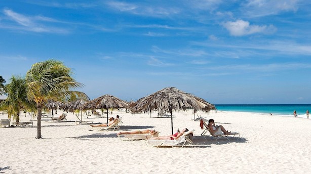 Sved på panden i det hollandske tropeparadis