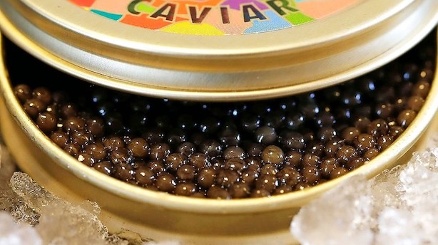 De gyldne æg: Her er den bedste caviar
