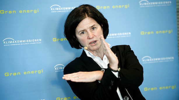 Børsen mener: Klimaprofessorens brok over uenighed er useriøs