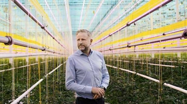 Gazeller nærmer sig rekordniveau: Her er flest vækstkometer
