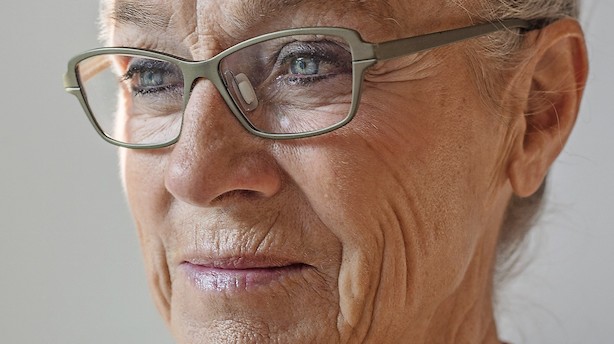 Børsen mener: Lær af den sorte skole - sæt paratviden i fokus