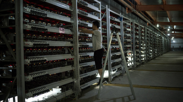 25.000 computere i Mongoliet arbejder i døgndrift: Så meget energi bruger bitcoin