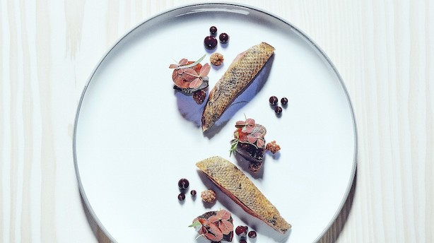 Lækker bourgogne til sæsonens fisk og vildt