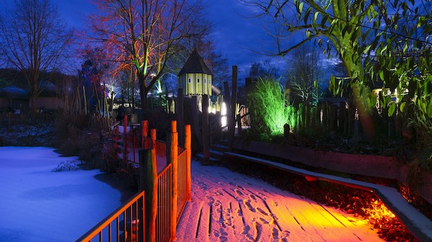 Tag i Odense Zoo, snup en snegl i Juno the Bakery eller se på kunst i Skindergade