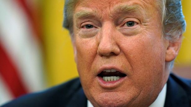 Kronik: Hvad ved økonomer om Trumps reform?