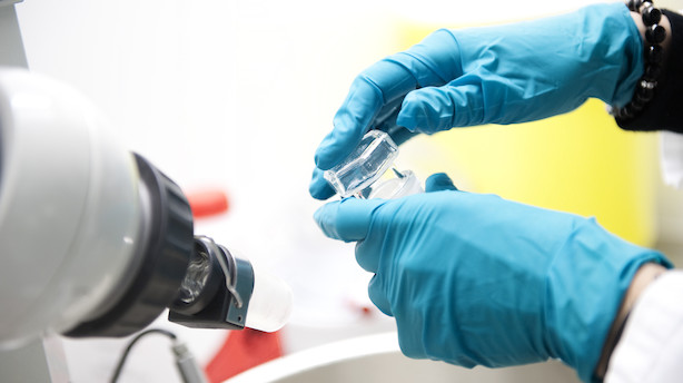 Kronik: Dansk life science har et stærkt internationalt vækstpotentiale