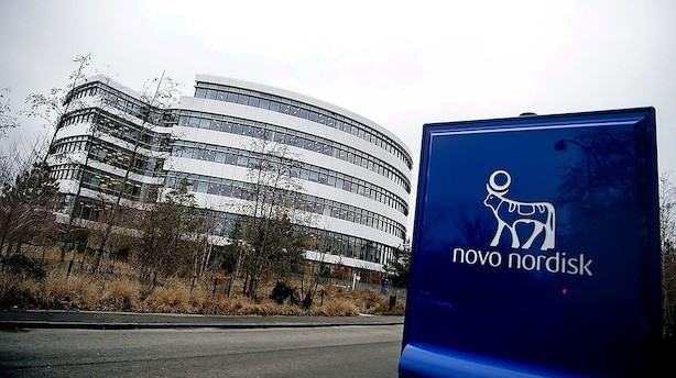 Hundedyre enkeltaktier inviterer til at aktien splittes i mindre dele