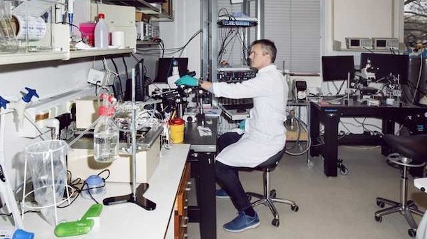 Biotekbaby får rekordbeløb: "Det vil blive bemærket"