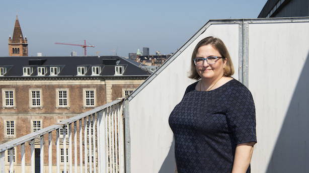 "Hvis hun formår at føre et effektivt tilsyn, så skal hun have en pris"