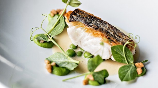 Anmeldelse: Aalborg har fået endnu et sted, der opbygger byen som gastronomisk destination
