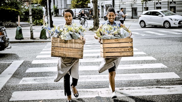 Vilde blomster og ladcykler giver flygtninge arbejde