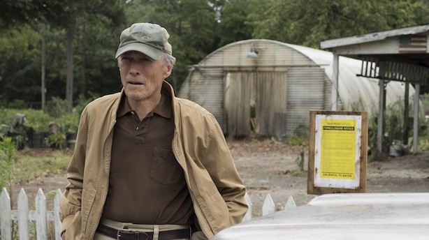 Filmanmeldelse: Eastwood kører på rutinen i "The Mule"