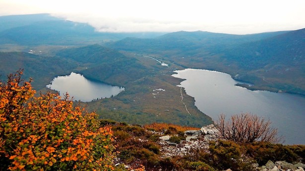 Mellem pungdyr og minearbejdere i Tasmaniens vildmark
