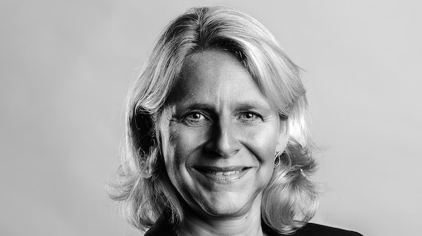 Debat: Ahlers tager de rette skridt