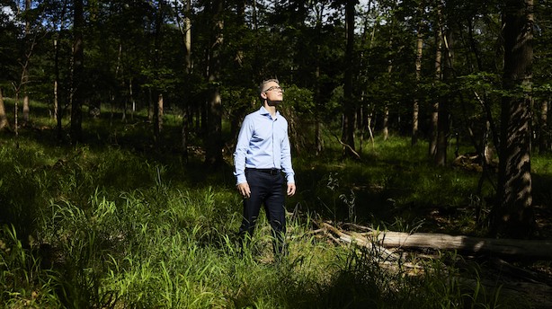 AP Pension lancerer første bæredygtige pensionsopsparing