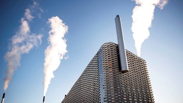 Debat: Biomasse er ikke CO2-neutralt