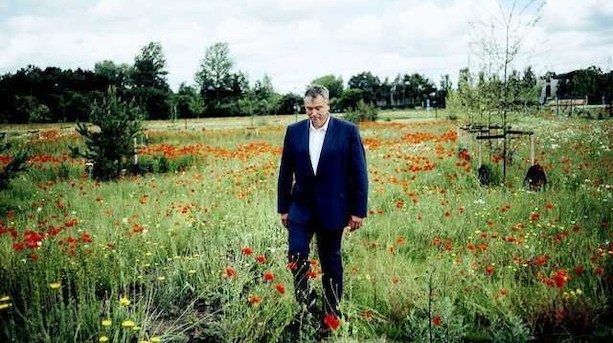 Novozymes-direktør under pres efter minusvækst