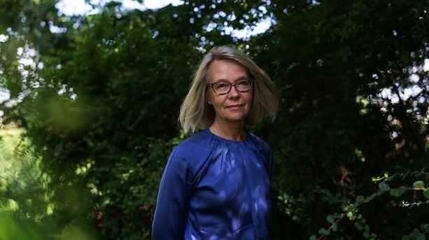"Presset på headhuntere og presset fra nomineringsudvalg og bestyrelsesformænd er steget kraftigt for at finde de rigtige og velkvalificerede kvinder til bestyrelser"