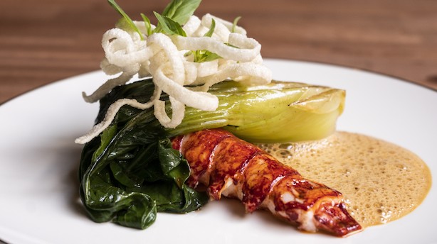Bistrostil med høj gastronomisk faneføring