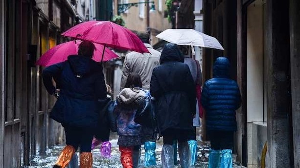 Klimaaktier er årets hidtil bedste investering: "Selvfølgelig kan det blive til en boble, men lige nu er vi i så fald tidligt i boblen"