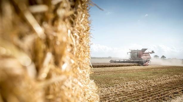 Kronik: Arveafgiften svækker konkurrenceevnen