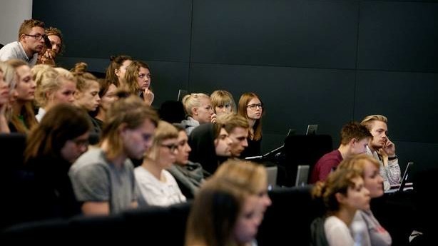 Kronik: Arbejdsmarkedet er klar til flexucation