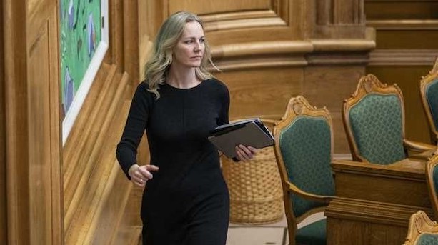 Energibranchen frygter afgift på biomasse: "Meget ødelæggende for os"