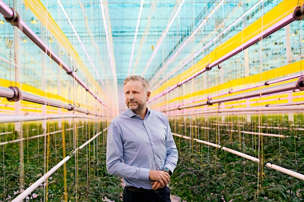 Vækstivrig tomatkonge: Vi er intet uden udlændinge