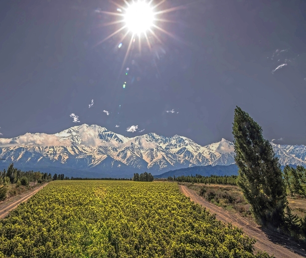 Fornem vin fra Argentinas vindronning