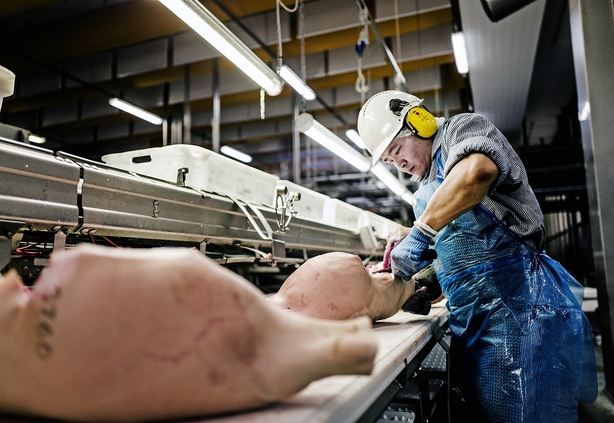 Særskat sluger virksomheders gevinst på oliedyk