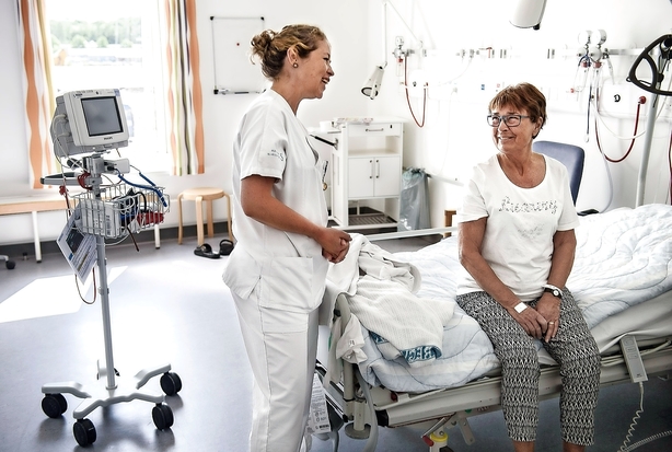 Debat: Offentligt ansatte starter også virksomheder