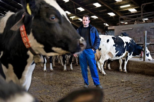 Debat: Der skal flere trainee-stillinger i landbruget