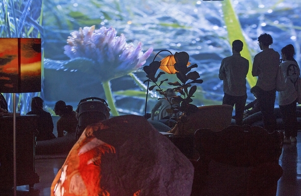 Pipilotti Rist indtager Louisiana med stort overskud