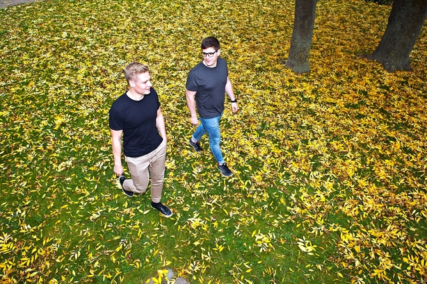 Nyt softwareselskab får 4 mio til at gå i struben på lønkæmper