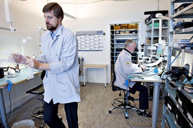 Højrisikable Gomspace kan nå sit gamle topniveau inden nytår