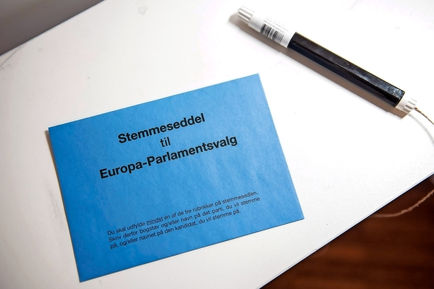 Debat: Nyvalgte MEP'er skal satse på flere europæiske skatter
